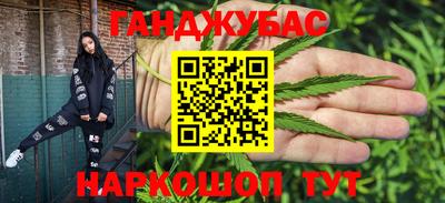 дмт Кингисепп