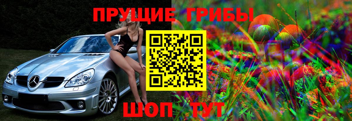 Псилоцибиновые грибы прущие грибы Ялуторовск